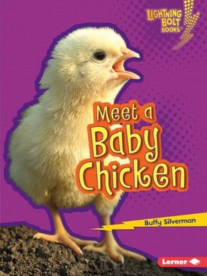 cover image of Meet a Baby Chicken
